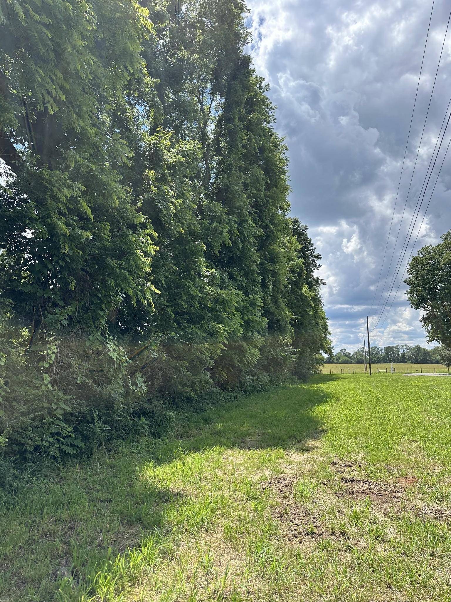 0 Mccrary Rd, Lebanon, TN 37090 - photo 11