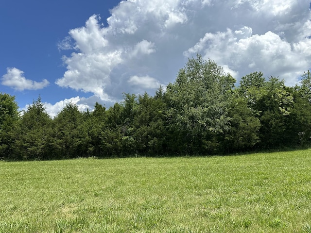 0 Mccrary Rd, Lebanon, TN 37090 - photo 2