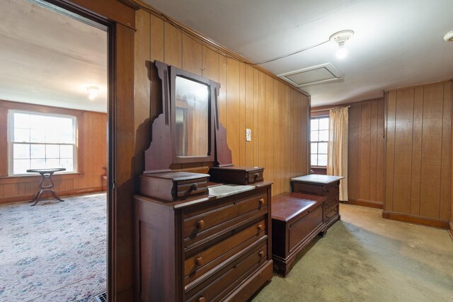 interior space featuring wooden walls, carpet flooring, and plenty of natural light