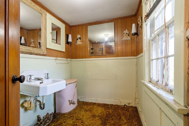 bathroom featuring sink and toilet