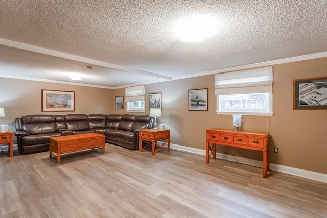 living room with crown molding, a textured ceiling, and light hardwood / wood-style floors