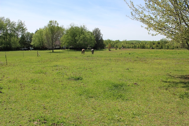 view of yard with a rural view