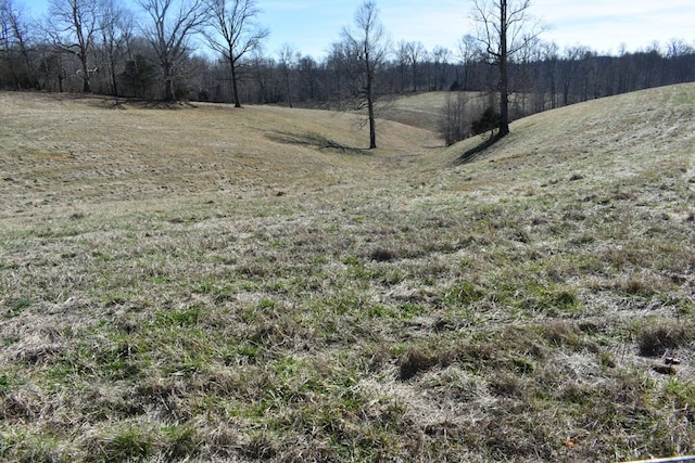 Listing photo 2 for 0 Dyer Ridge Rd, Baxter TN 38544