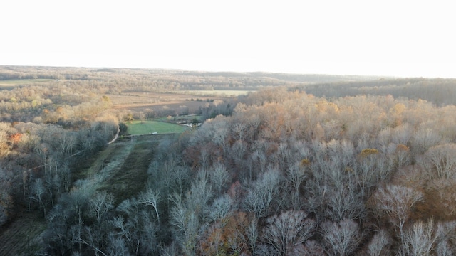 view of bird's eye view