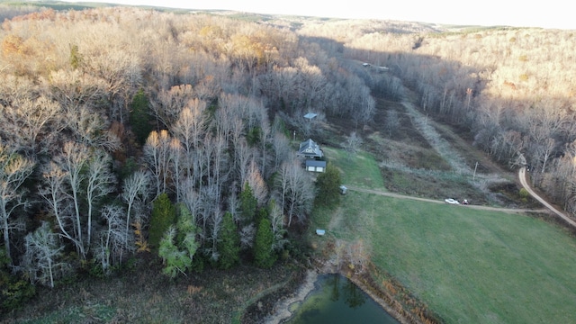 view of bird's eye view