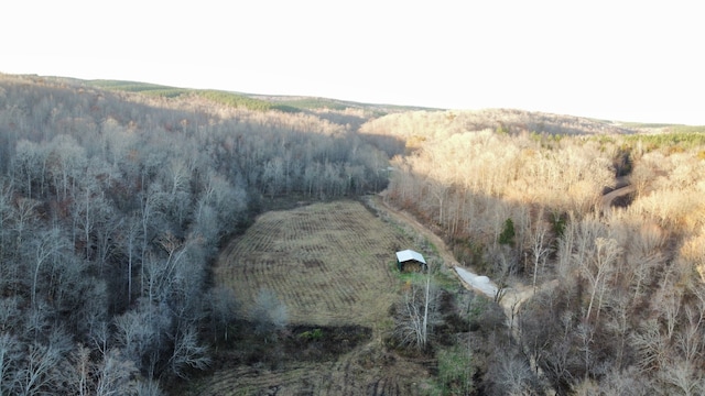 view of birds eye view of property