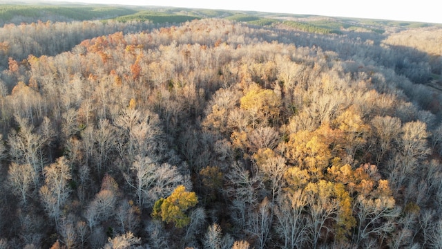 view of drone / aerial view