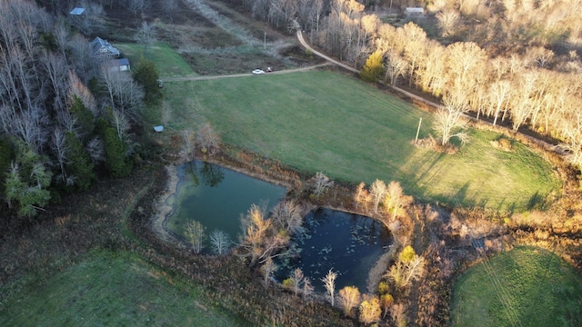 view of bird's eye view