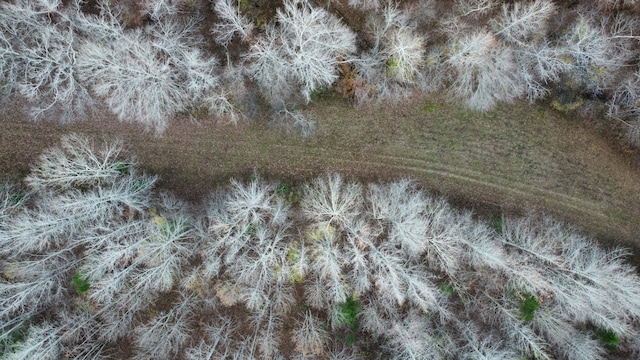 view of nature