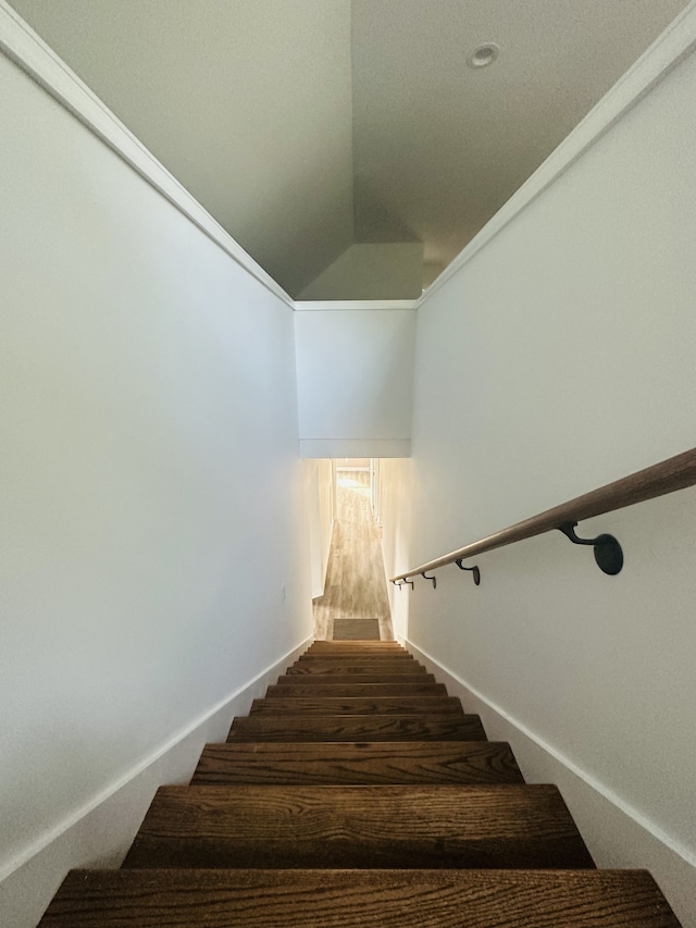 staircase featuring dark wood-type flooring