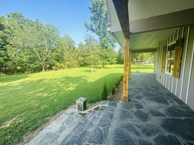 view of yard featuring a patio