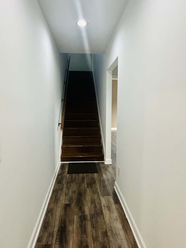 staircase featuring dark wood-type flooring