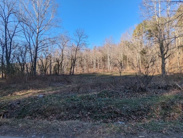 765 Leath Chapel Rd, Bethpage TN, 37022 land for sale