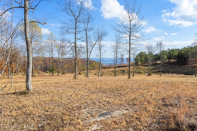 Listing photo 3 for 0 Misty View Ct, Jasper TN 37347