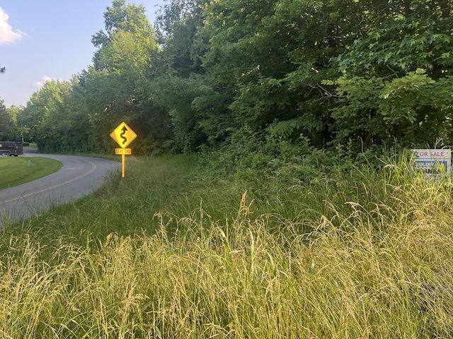 1 Jarrell Ridge Rd, Clarksville, TN 37043 - photo 2