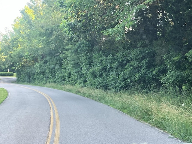 1 Jarrell Ridge Rd, Clarksville, TN 37043 - photo 3