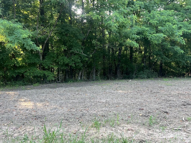 2 Jarrell Ridge Rd, Clarksville, TN 37043 - photo 1