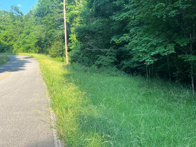 3 Jarrell Ridge Rd, Clarksville, TN 37043 - photo 1