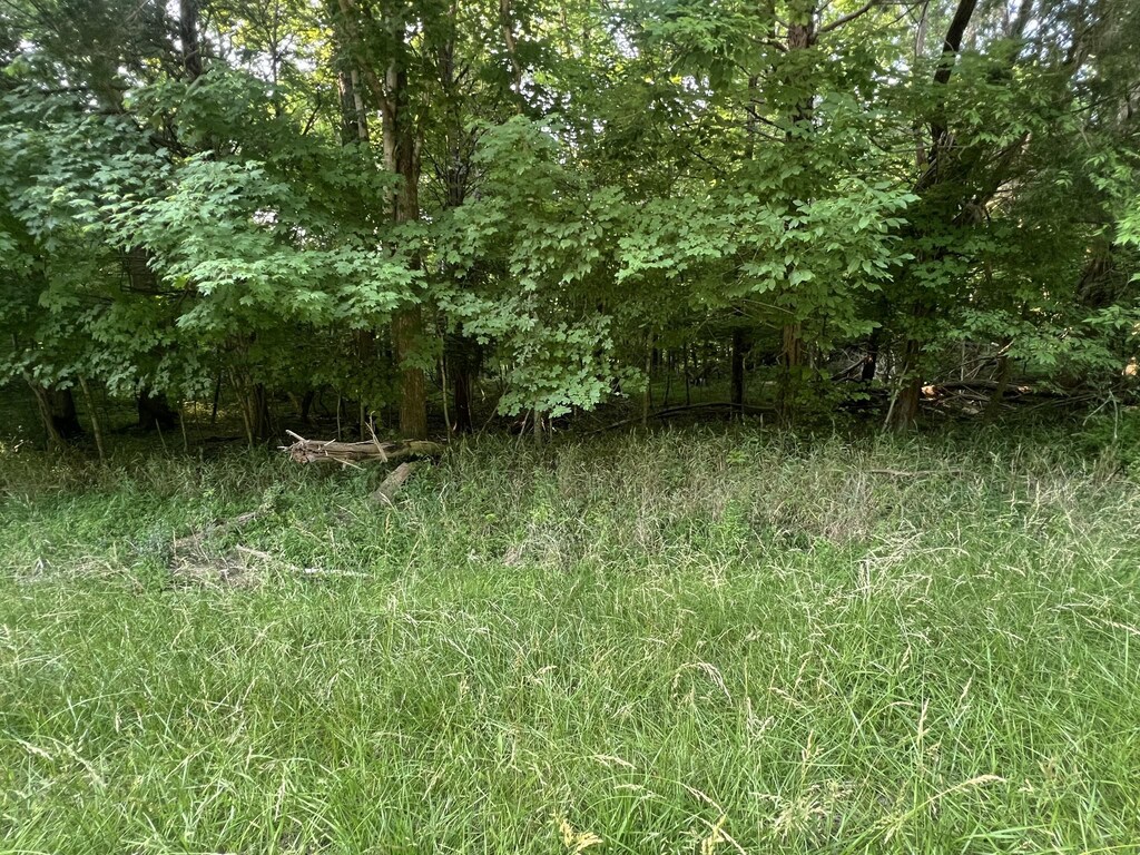 7 Jarrell Ridge Rd, Clarksville, TN 37043 - photo 1