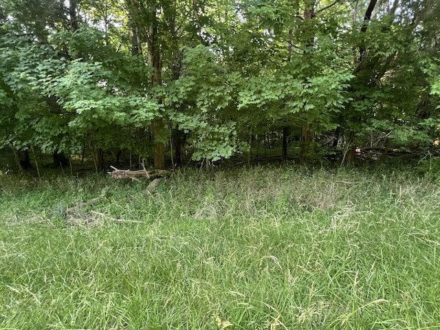 7 Jarrell Ridge Rd, Clarksville, TN 37043 - photo 1