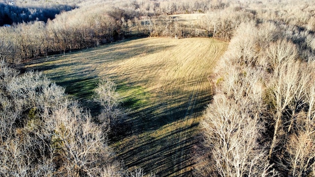 view of bird's eye view