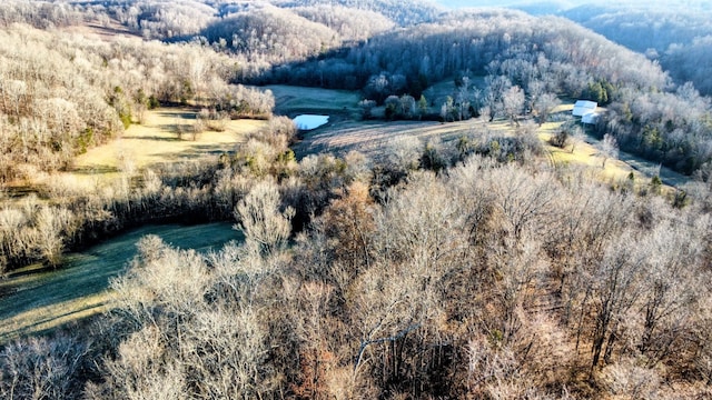 view of birds eye view of property