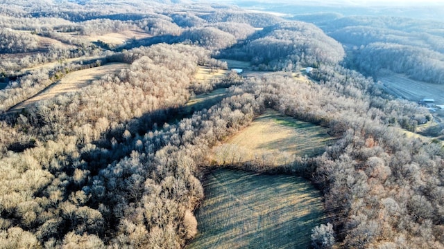 view of drone / aerial view