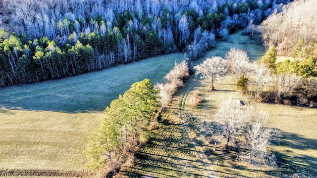 bird's eye view with a rural view