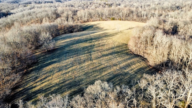 view of birds eye view of property