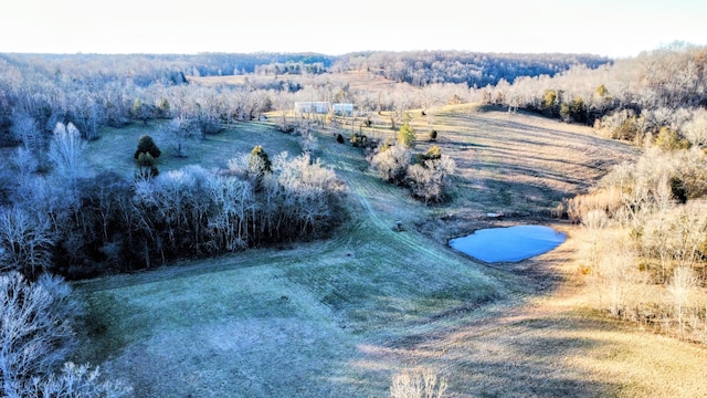 drone / aerial view with a rural view