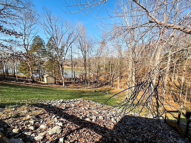 view of yard with a water view