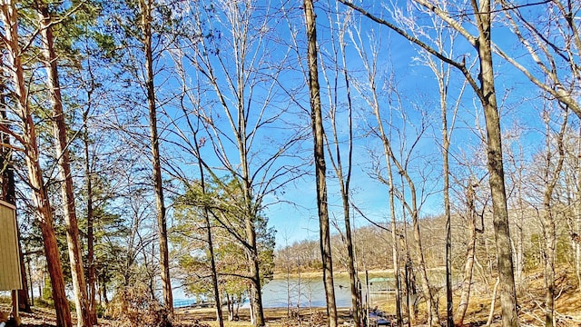 view of property view of water