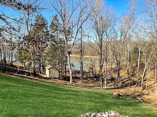 view of yard featuring a water view and a storage unit