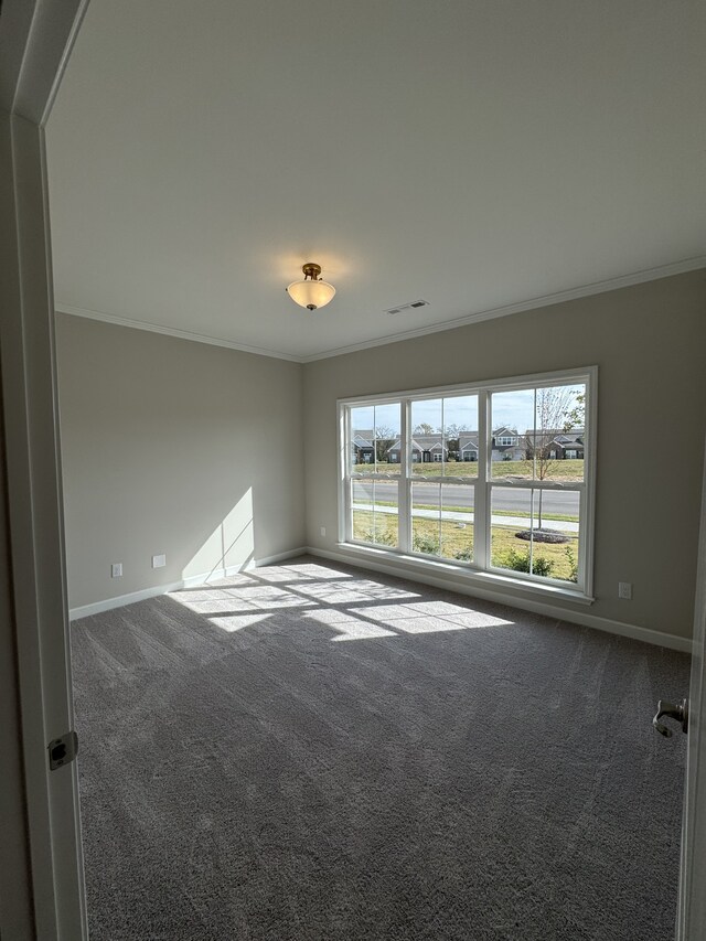 carpeted empty room featuring ornamental molding