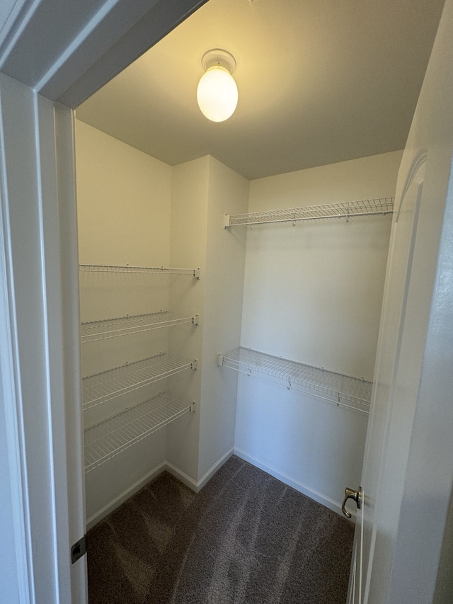 spacious closet with dark colored carpet