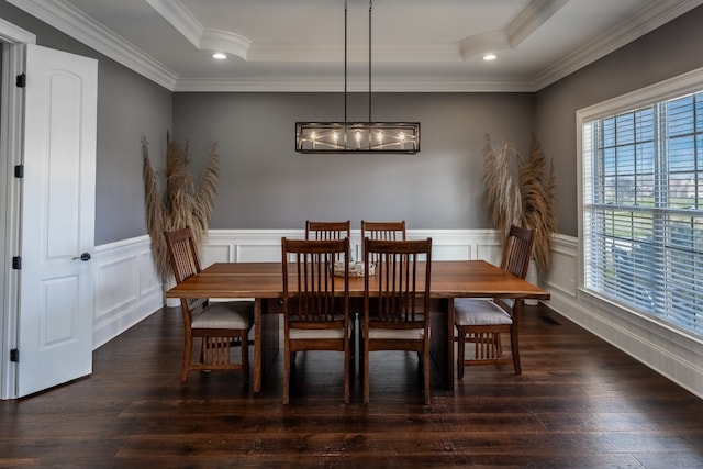 dining room with a raised ceiling, a notable chandelier, a healthy amount of sunlight, and dark wood-type flooring