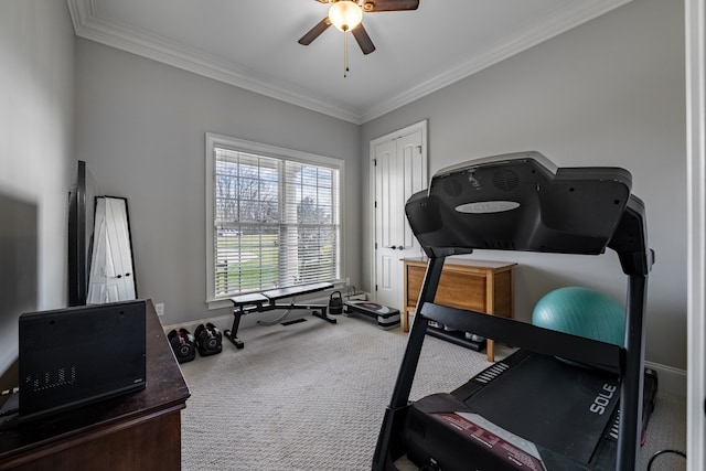 workout room with ceiling fan, ornamental molding, and carpet flooring