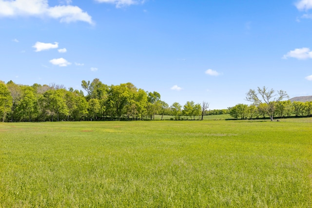 view of yard with a rural view