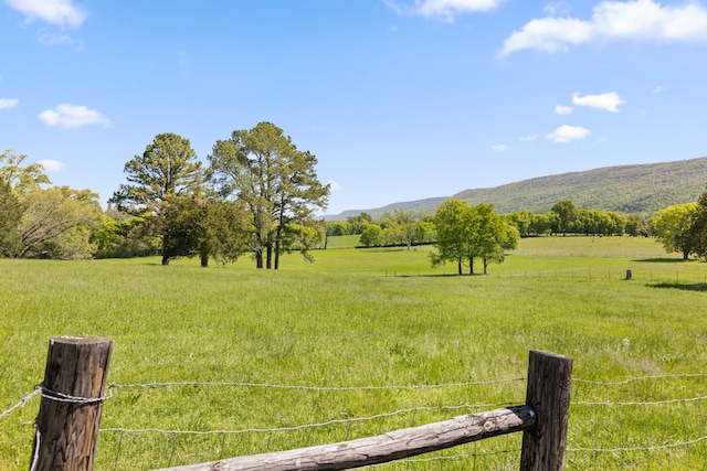 view of yard with a mountain view and a rural view