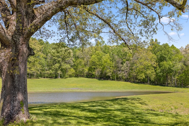 view of home's community featuring a yard and a water view