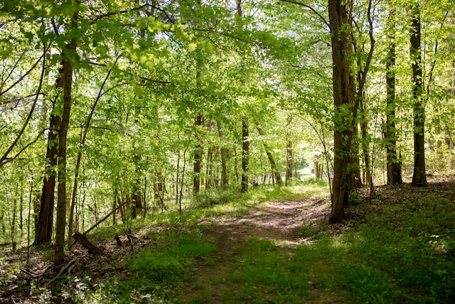 view of mother earth's splendor