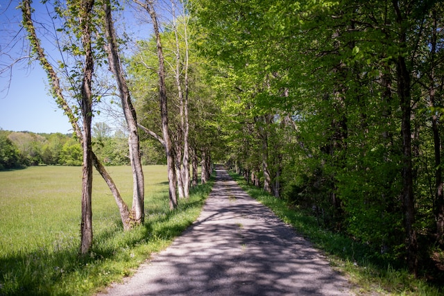 view of street