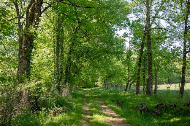 view of nature