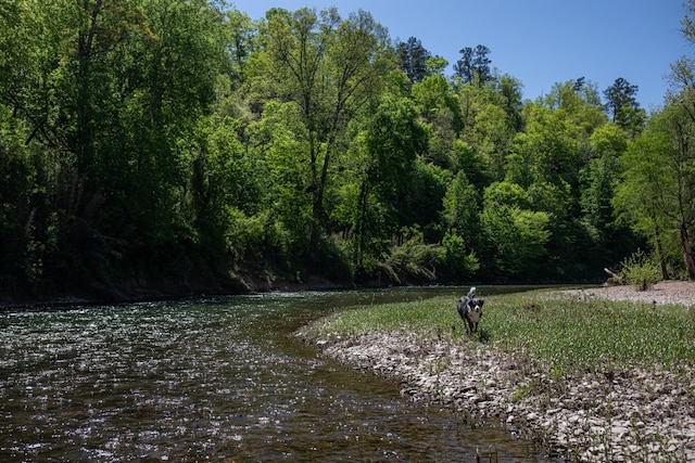 view of local wilderness featuring a water view