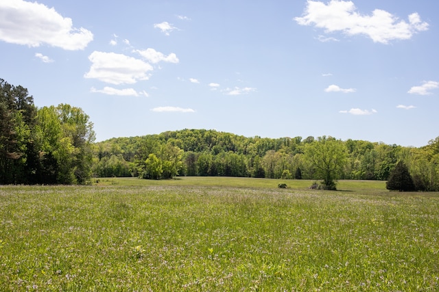 view of local wilderness featuring a rural view