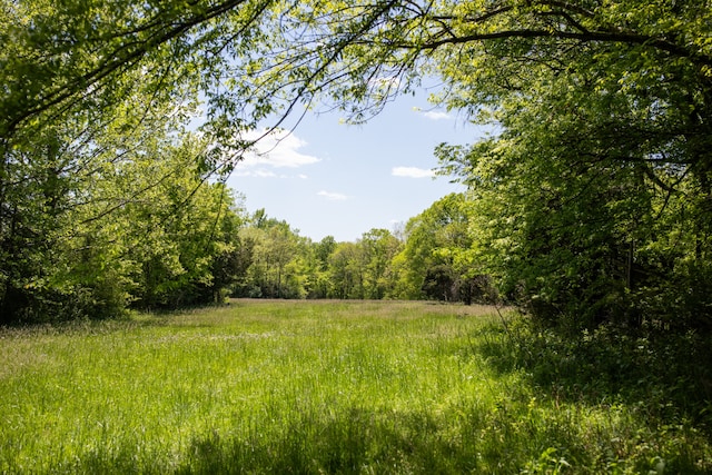 view of nature