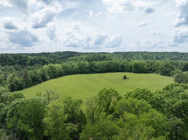 view of bird's eye view