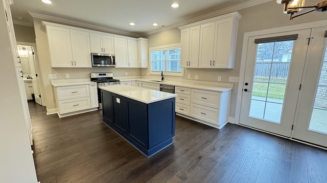 kitchen with appliances with stainless steel finishes, white cabinetry, and dark hardwood / wood-style floors