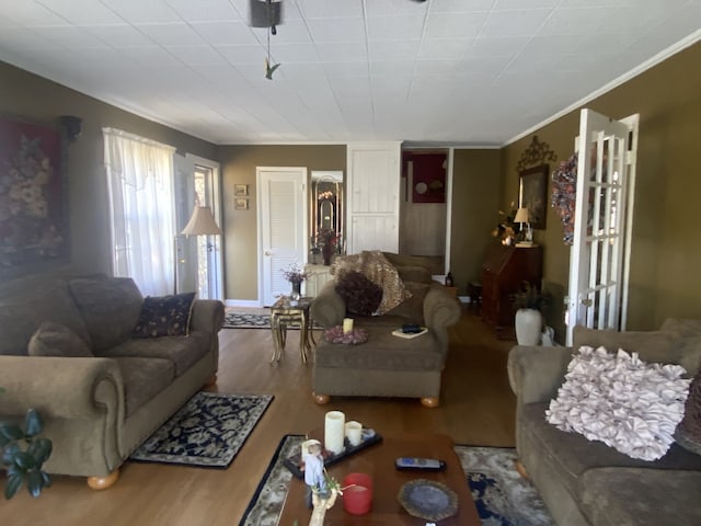 living room with ornamental molding and wood-type flooring