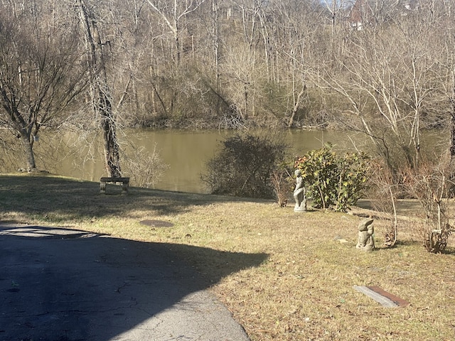 view of yard with a water view